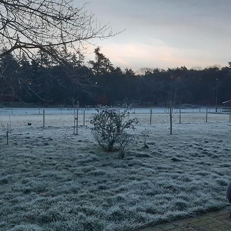Natuurslaapkamer De Zaadeest Boskamer Lomm 외부 사진