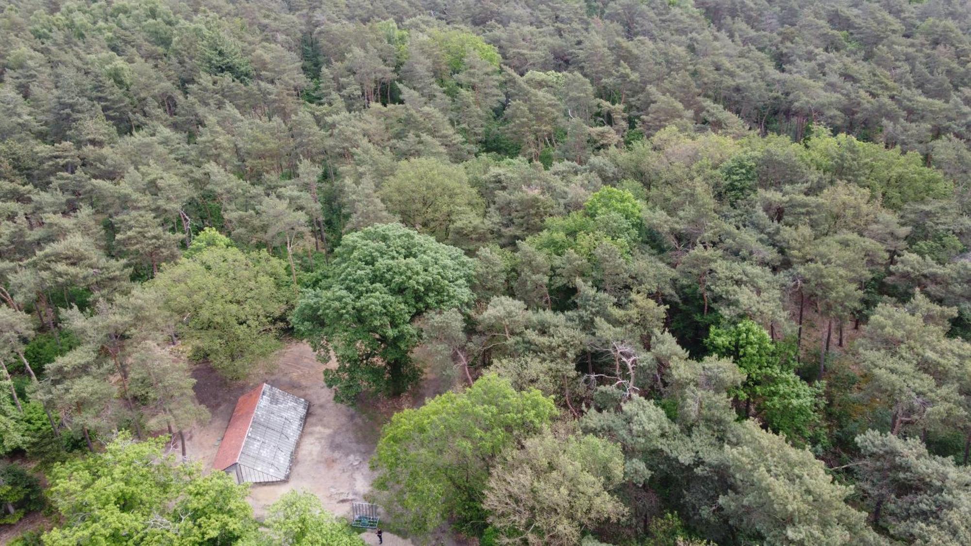 Natuurslaapkamer De Zaadeest Boskamer Lomm 외부 사진